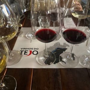 Os Vinhos do Tejo no Brasil